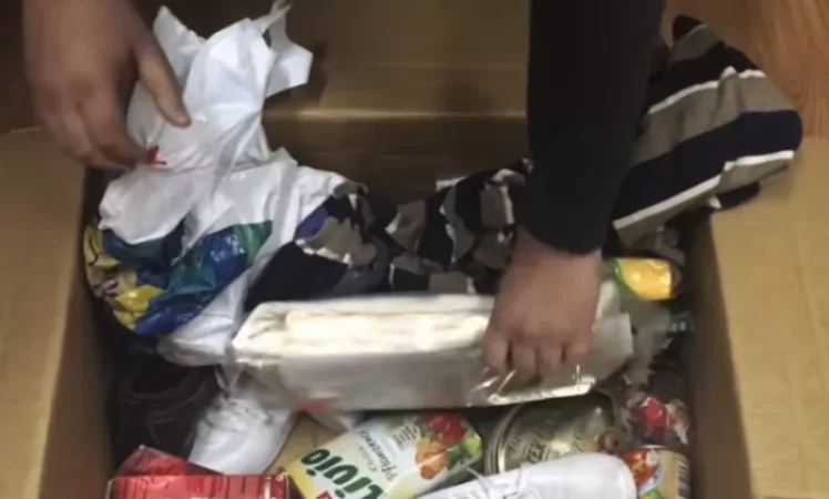 Video: Woman Sent Drugs from Germany to Armenia via Haypost