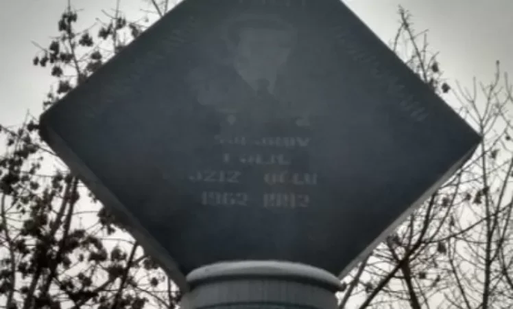 Պահանջում ենք ապամոնտաժել Ադրբեջանի ազգային հերոսի հուշարձանը Մառնեուլիում. վրացահայեր