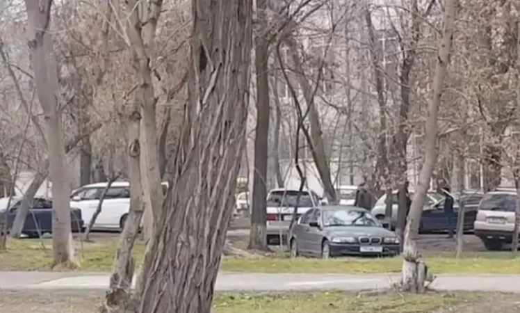 Video: The Situation in Abovyan Park Remains Unchanged: Where Are the Responsible Authorities?