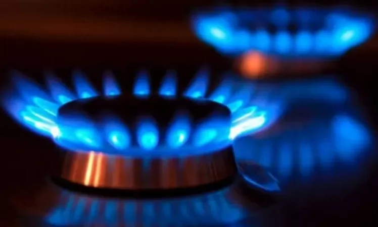 Գազի գնի հետ կապված բանակցությունները վերաբերվում են մեր շահերի պաշտպանությանը․ վարչապետը մանրամասներ է ներկայացրել