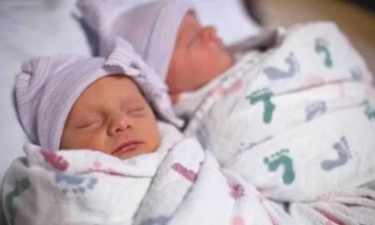 Տոպրակի մեջ հայտնված երկվորյակների վիճակը վատացել էր. մանրամասներ