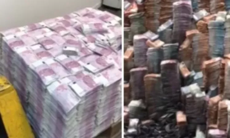 VIDEO: Unknown Individuals Attempt to Burn Huge 'Mountain' of Cash