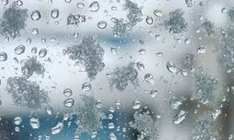 Expectations of Precipitation in the Form of Wet Snow and Mixed Rain
