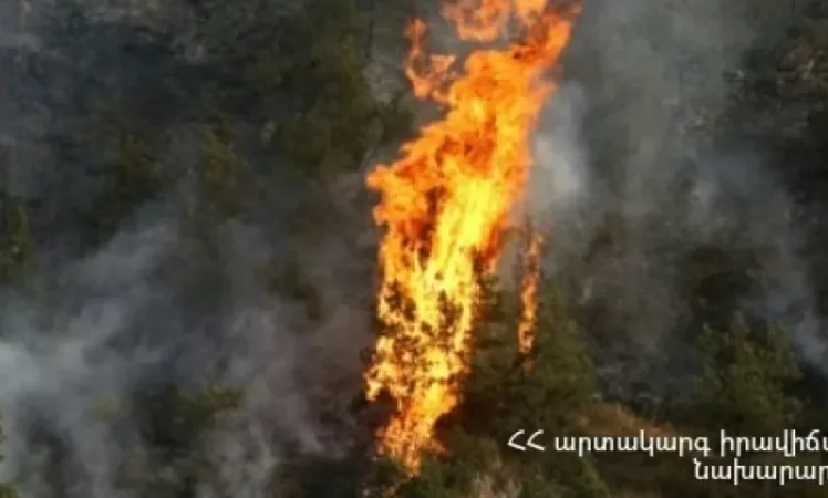 Emergency Calls About Wildfires in Various Regions of Armenia