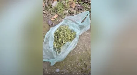 ՏԵՍԱՆՅՈՒԹ․ Արմավիրի Ոսկեհատ և Տարոնիկ գյուղերում թմրամոլների են հայտնաբերել