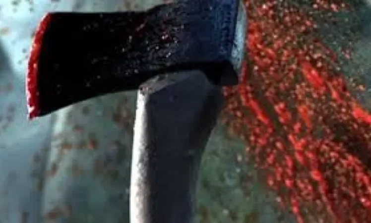 Դաժան սպանություն. Տավուշի մարզում որդին կացնի մի քանի հարվածով սպանել է մորը