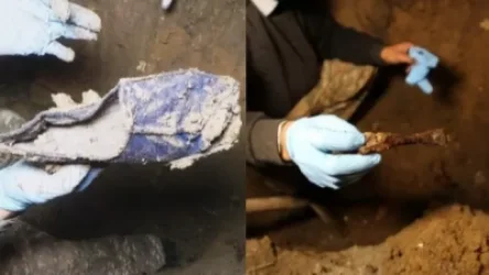 Երկու հանցագործների կռիվը․ 14-ամյա վաղեմության սպանության հետքերով. «Ժողովուրդ»