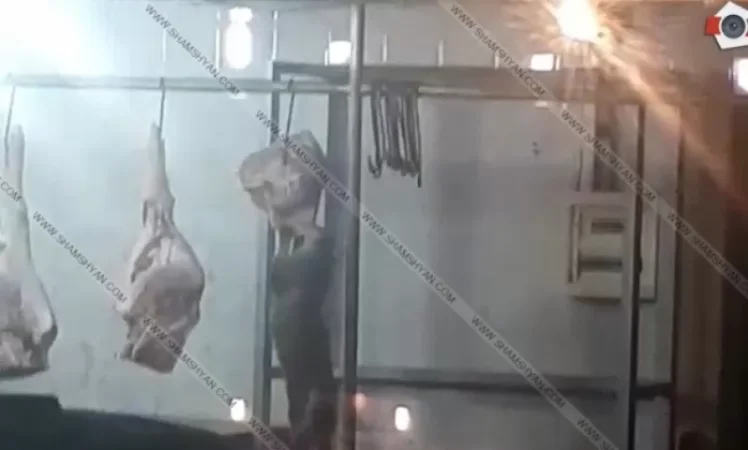 Video: Cat-Eaten Meat to Be Sold to Citizens at Gumi Market