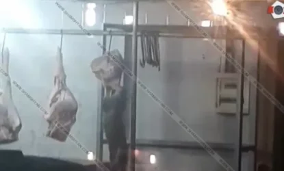 ՏԵՍԱՆՅՈՒԹ․ՏԵՍԱՆՅՈՒԹ Գումի շուկայից․կատվի կերած միսը վաճառելու են քաղաքացուն․ShamshyanՏԵՍԱՆՅՈՒԹ Գումի շուկայից․կատվի կերած միսը վաճառելու են քաղաքացուն․Shamshyan