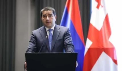 Վրաց հասարակությունը Եվրամիությունից ակնկալում է ներողություն՝ իշխանության տապալման փորձին աջակցության համար