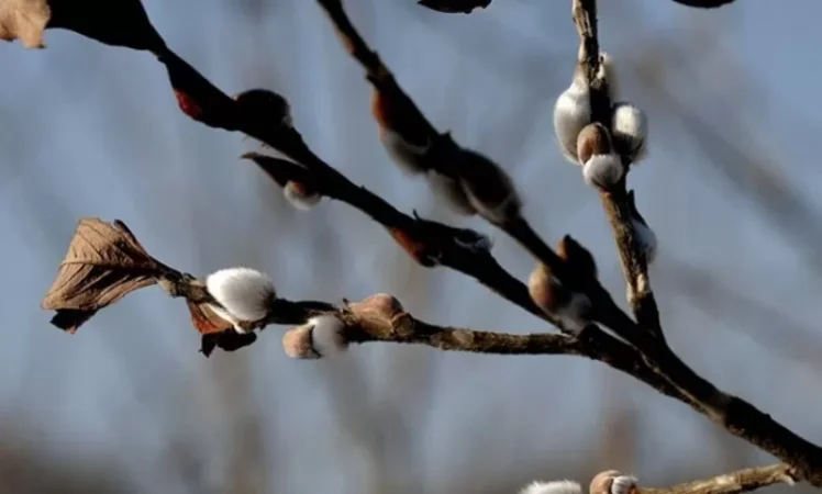 Ինչ եղանակ է սպասվում վաղը և առաջիկա օրերին