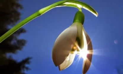 Եղանակն առաջիկա օրերին