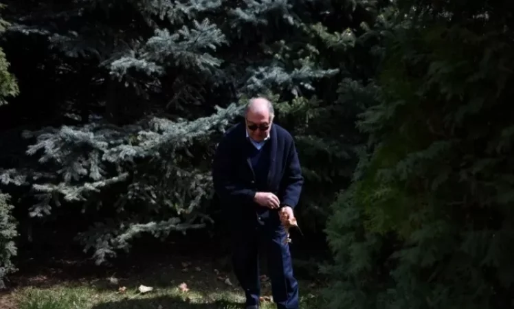 ԼՈՒՍԱՆԿԱՐՆԵՐ. Նախագահ Արմեն Սարգսյանը շաբաթօրյակին մասնակցել է թոռնիկների հետ