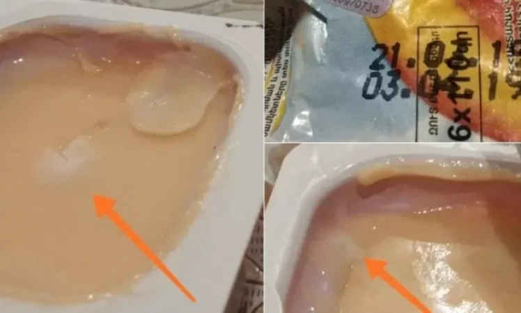 Ինչու են «Աշտարակ կաթ» -ի յոգուրտները բորբոսնած. Ընկերությունը մանրամասում է. Tert. am