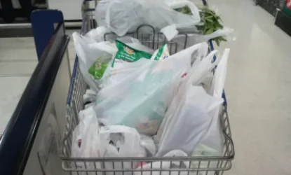 Այսօրվանից Վրաստանում արգելվում է պլաստիկ տոպրակների ներկրումն ու վաճառքը