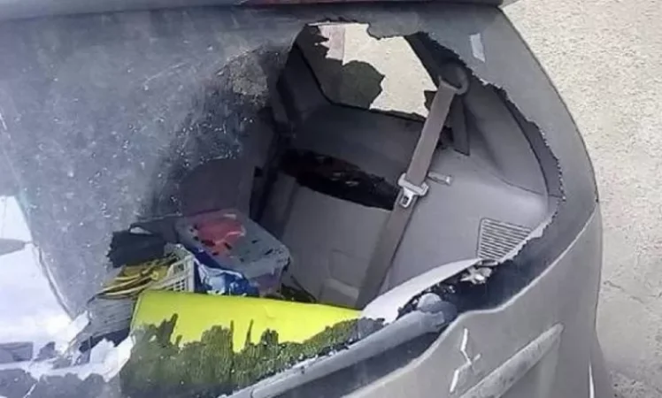 Եռաբլուրում  կատարված գողությունները քաղաքական պատվեր են. Զարուհի Մեջլումյան