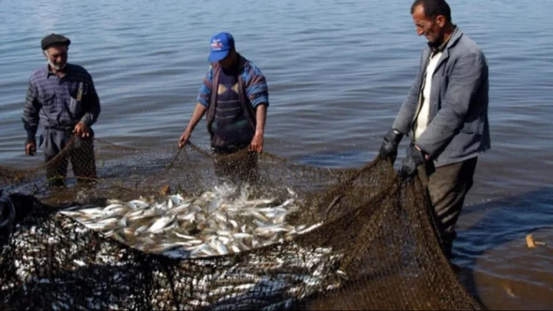 Սիգի որսը կշարունակի մնալ արգելված. մարտի 1-ից շուտ ձկնորսներին թույլ չի տրվի մտնել Սևան