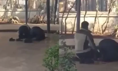 ՏԵՍԱՆՅՈՒԹ․ Օպերայի հարակից տարածքում 2 մարդ նամազ է արել