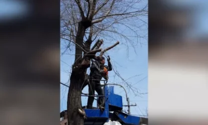 ԼՈՒՍԱՆԿԱՐՆԵՐ․ Կրկին գարուն, կրկին ծառերի փոխարեն հսկայական կոճղեր․ Ինչու է խորը էտ իրականացվում