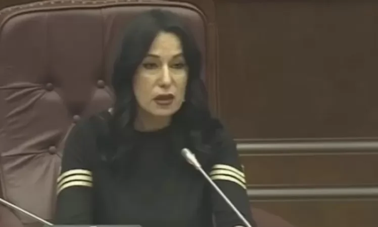 Տարբեր պատգամավորներ օգնել են տրանսգենդերին սողոսկել ԱԺ. Նաիրա Զոհրաբյան. Armdaily