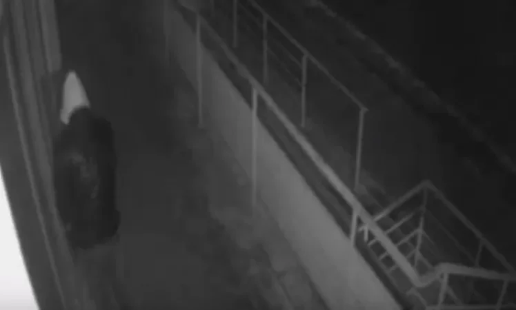 Video: Attempted Theft from Office