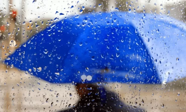Weather Forecast for Today and Upcoming Days