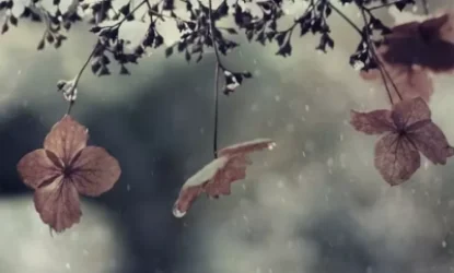 Առաջիկա օրերի եղանակը ՀՀ տարածքում