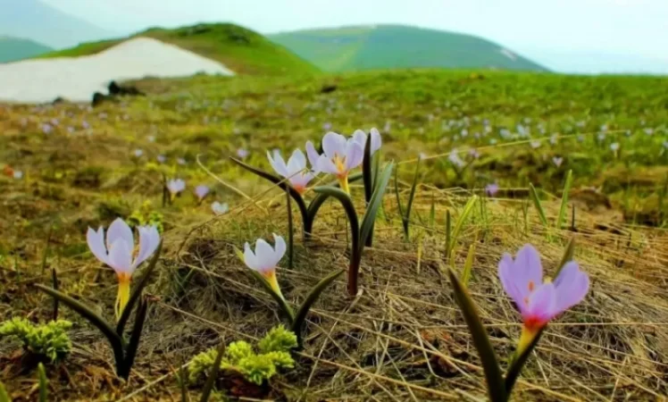 Ինչ եղանակ է սպասվում վաղը և առաջիկա օրերին