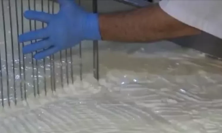 VIDEO: We Started Cheese Production with 10 Liters of Milk