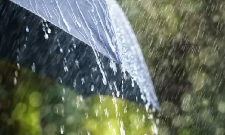 Rain and Thunderstorms Expected: Weather Forecast for Tomorrow and Coming Days