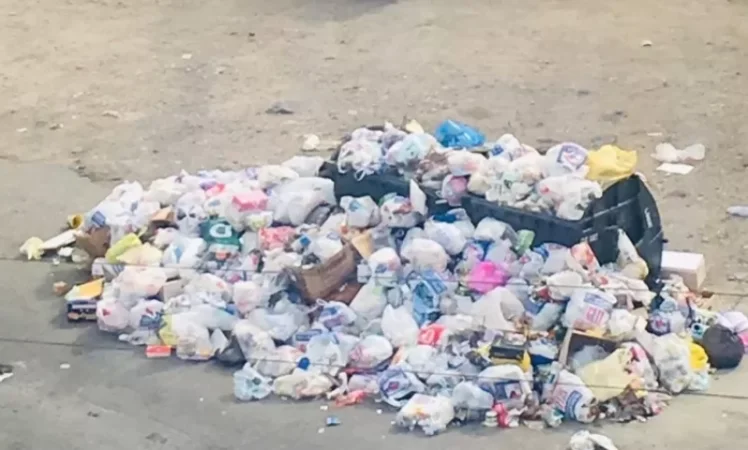 VIDEO: Rubinyants Street