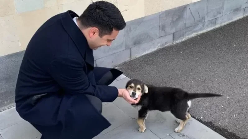 ՊՆ շենքի մոտ ՀԱՊԿ մասնակիցներին էր դիմավորում. Ալեն Սիմոնյան