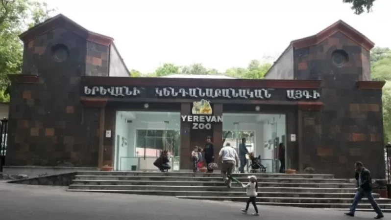Կենդանաբանական այգու աշխատակիցները նամակով դիմել են վարչապետին և քաղաքապետին