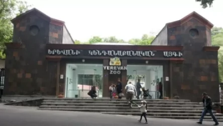Կենդանաբանական այգու աշխատակիցները նամակով դիմել են վարչապետին և քաղաքապետին