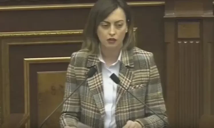 ՏԵՍԱՆՅՈՒԹ․ Լենա Նազարյանի պատասխանը Գևորգ Պետրոսյանի ելույթին