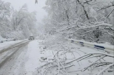 Ձյան տեղումները կշարունակվեն, տեղ-տեղ բուք կլինի. եղանակը ՀՀ-ում