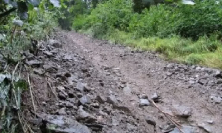 Սողանք ունենք, որի պատճառով մի գյուղի ճանապարհ կարող է փակվել․ Ֆելիքս Ցոլակյան