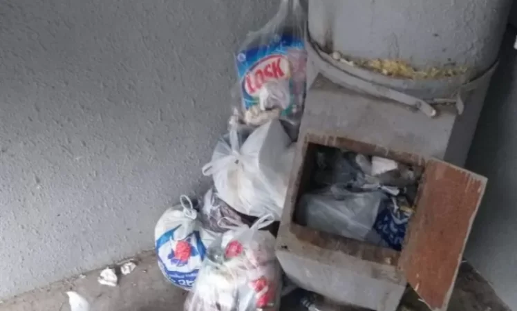 NO COMMENT. Ավան․ առնետները գլուխ են բարձրացրել