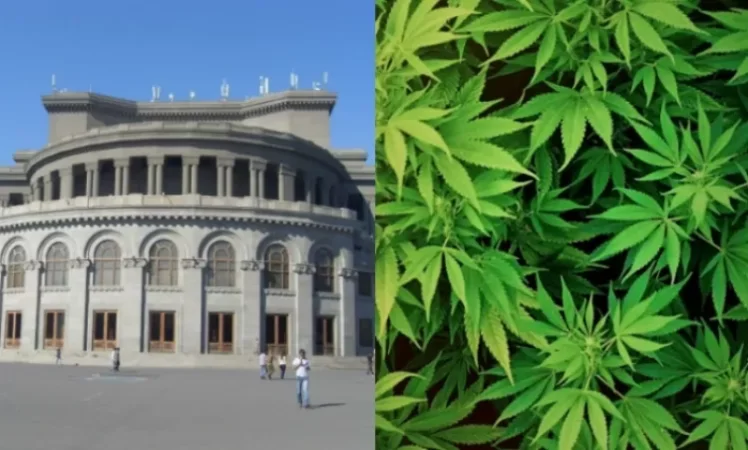 Ազատության հրապարակում կնշվի մարիխուանայի միջազգային օրը. Tert. am