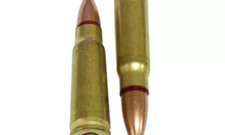 Handed Over Deceased Father's Gun and Bullets
