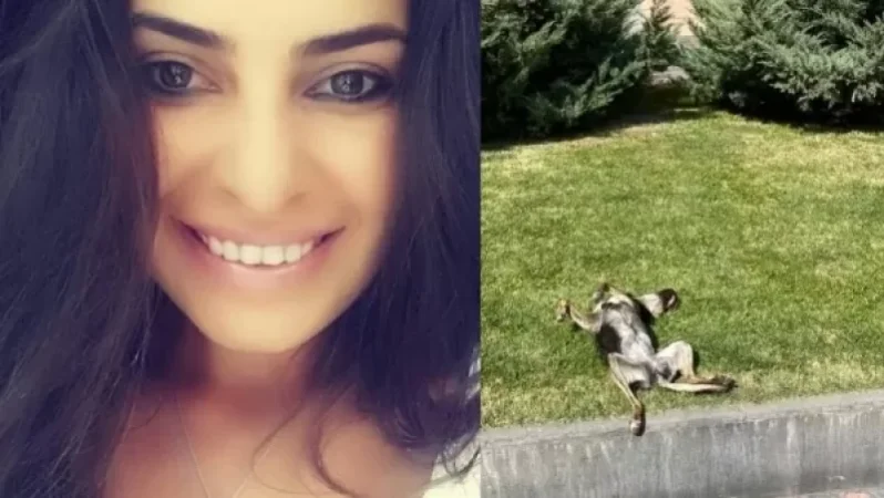 Քաղաքապետարանն էլ այլևս այն չէ․ ավագանու անդամ