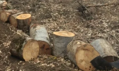 Փորձել են կանգնեցնել փայտանյութով բեռնված «ՈւԱԶ»-ը, բայց վարորդը փախուստի է դիմել