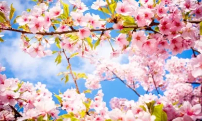 Առաջիկա օրերի  եղանակը ՀՀ տարածքում