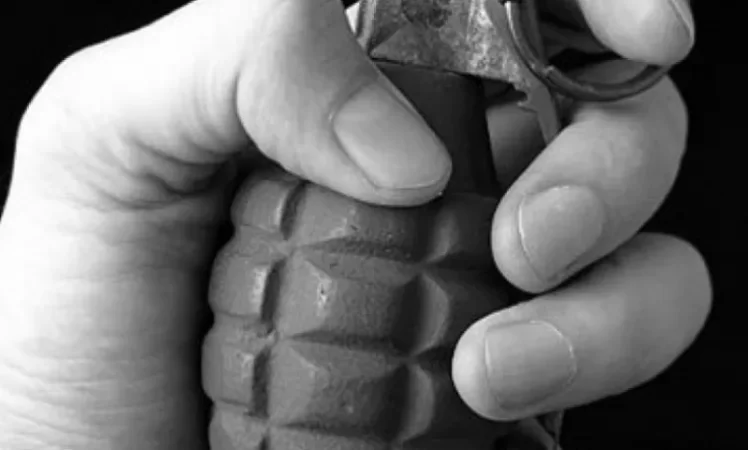 Young Man Throws Grenade at His Mother's Husband's Feet in Yerevan