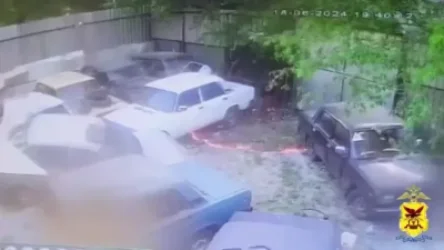 ՏԵՍԱՆՅՈՒԹ. Չիտայում 12-ամյա դպրոցականը վառել է բարդու բմբուլը և միաժամանակ այրել 6 մեքենա