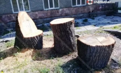 Վանաձորի առողջարանի տարածքում ծառեր են հատվել.տնօրենը վստահեցնում է՝ ծառերը հիվանդ են եղել