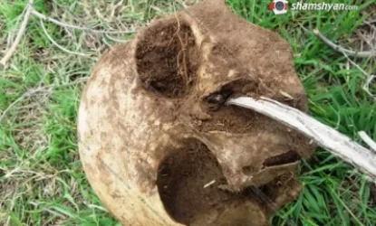 Սիս գյուղում աղվեսի կասկածելի բույնը քանդելիս հայտնաբերվել են մարդու գանգ և ոսկրային մասեր