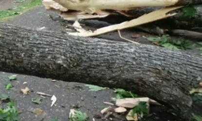 Ուժեղ քամուց բարդիների ճյուղերը պոկվել, փակել են մայրուղին