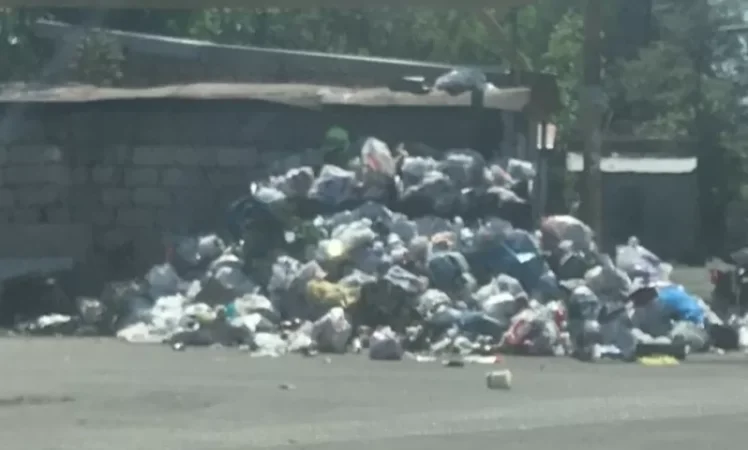 NO COMMENT. Շիրակ փողոց