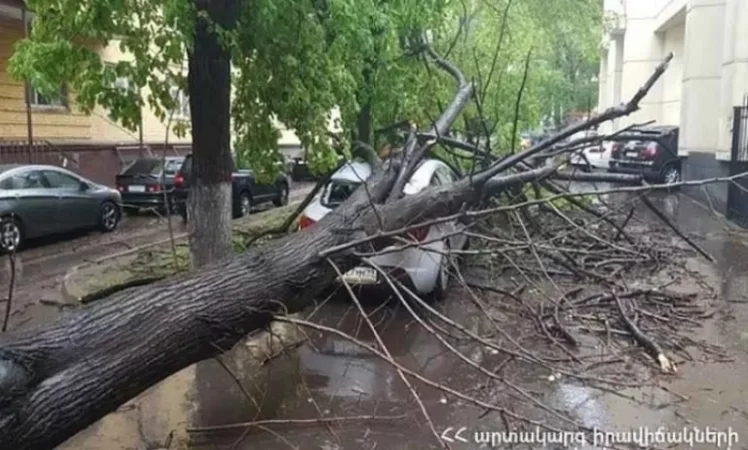 Ուժեղ քամու հետևանքով ավտոմեքենայի վրա ծառ է ընկել